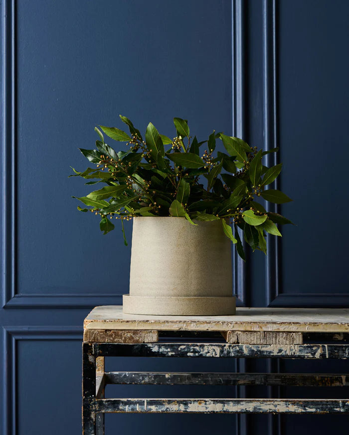 Pot - Robert Gordon Garden To Table