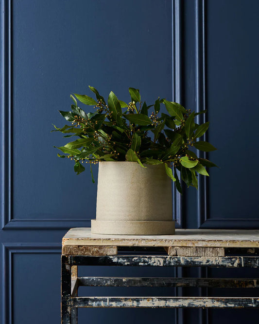 Pot - Robert Gordon Garden To Table