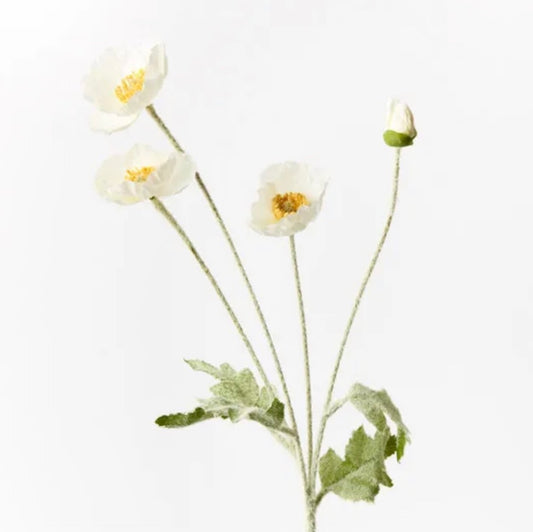 White Poppy Spray