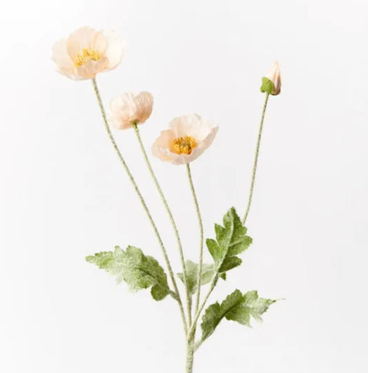 Peach Poppy Spray